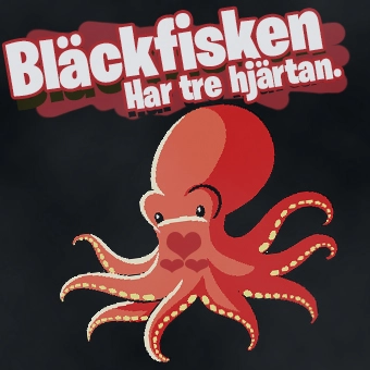 Fakta om bläckfisk